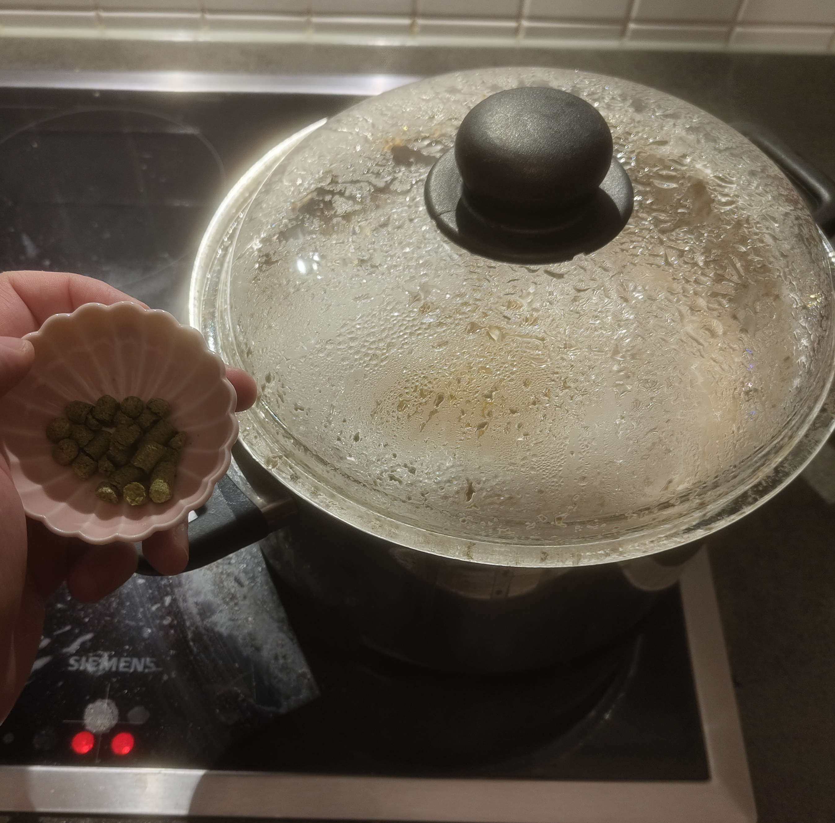 Boiling and adding hops